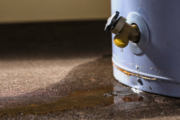 Best Water damage restoration services  in Echelon, NJ