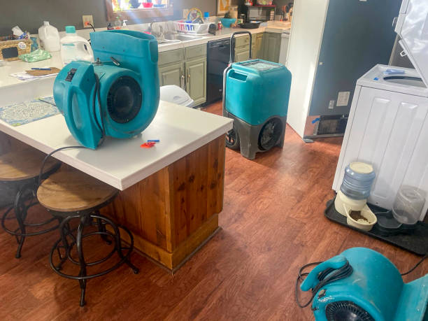 Trusted Echelon, NJ Water damage restoration Experts