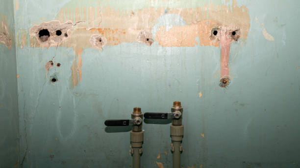 Water damage restoration mold remediation in Echelon, NJ